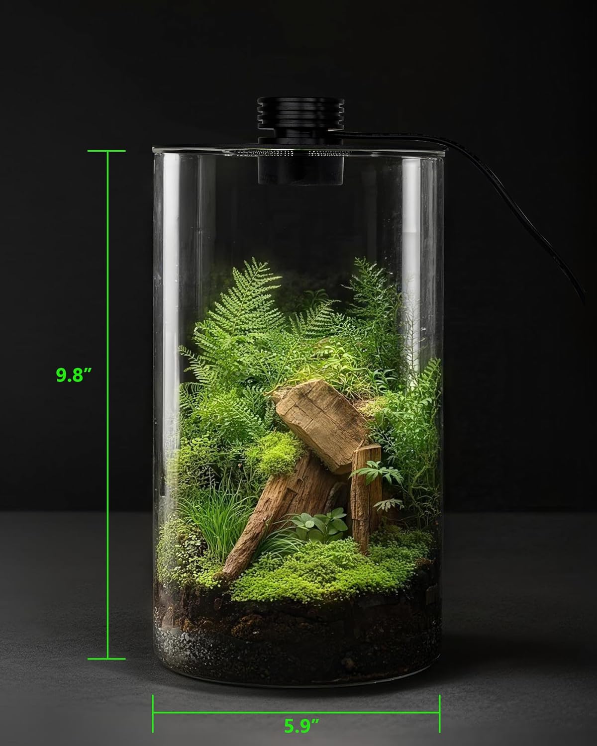 กระถางแก้วในร่มพร้อมไฟปลูกต้นไ - Office Lighting Decor บทวิจารณ์และราคา