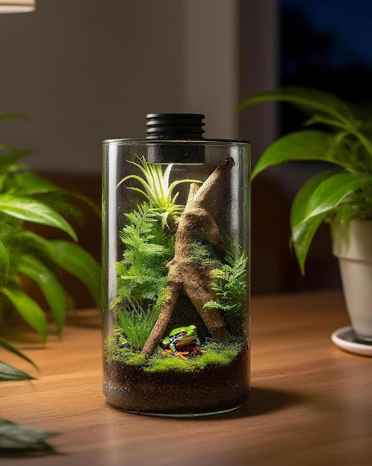 กระถางแก้วในร่มพร้อมไฟปลูกต้นไ - Office Lighting Decor บทวิจารณ์และราคา