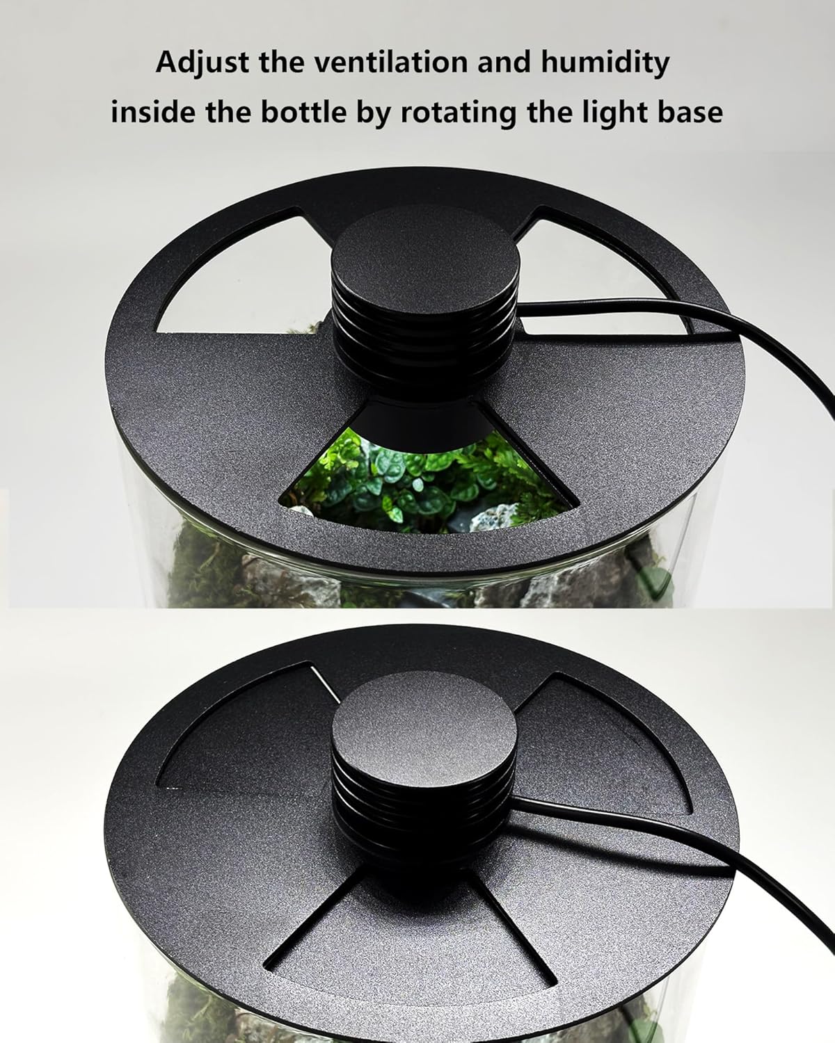 กระถางแก้วในร่มพร้อมไฟปลูกต้นไ - Office Lighting Decor บทวิจารณ์และราคา