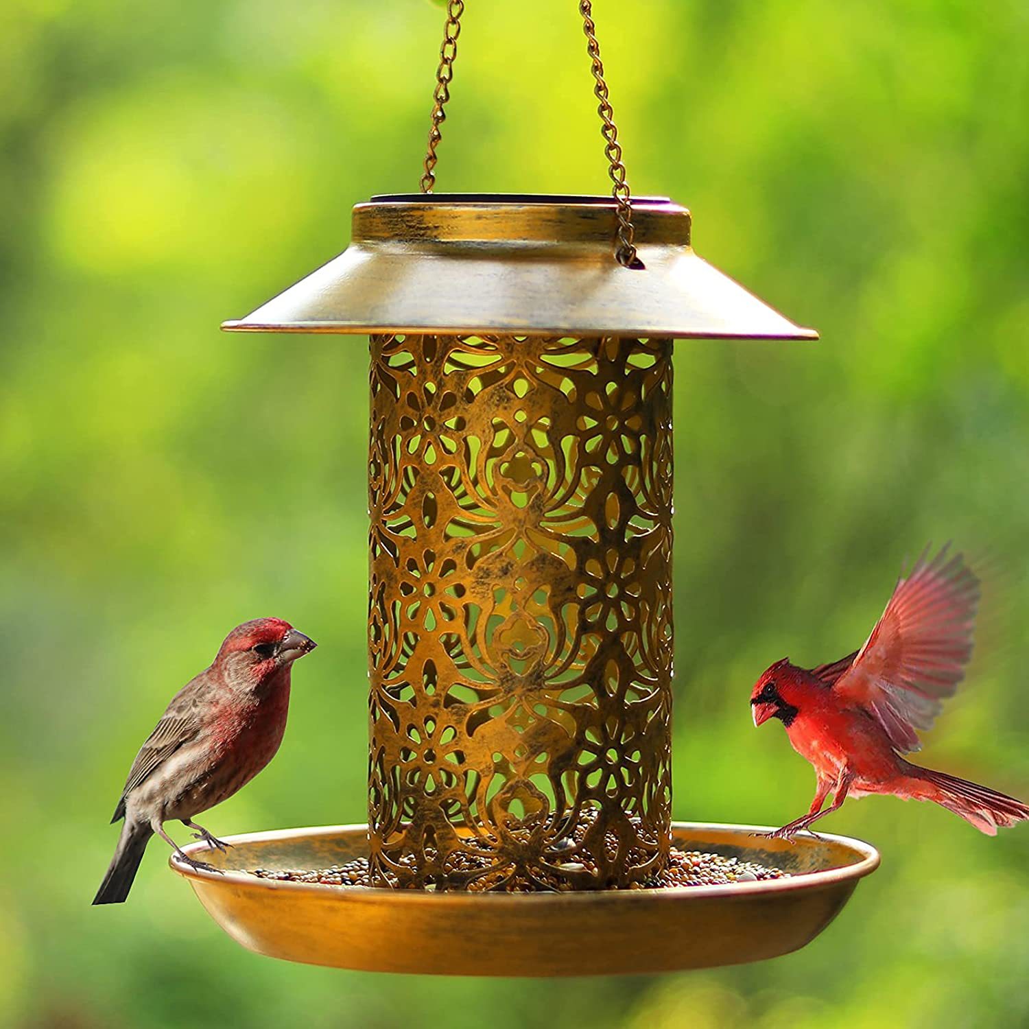บ้านนกแขวนโลหะกลางแจ้งเครื่องใ - Outdoor Lighting Decor Ideas บทวิจารณ์และราคา
